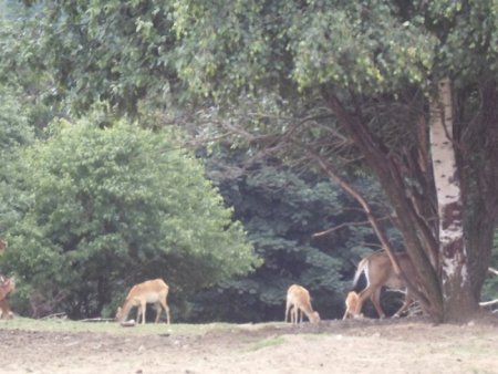 Súkromná farma Drábsko - apríl 2015