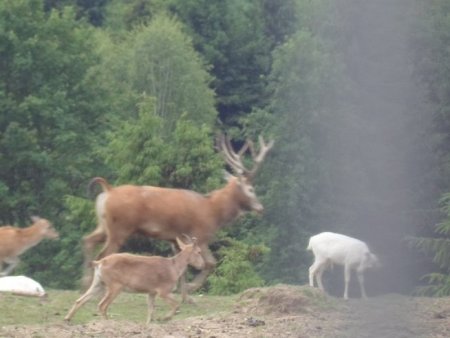 Súkromná farma Drábsko - apríl 2015