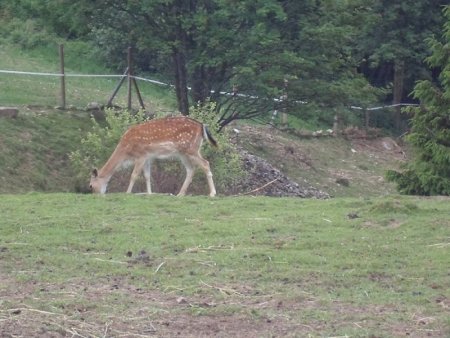 Súkromná farma Drábsko - apríl 2015