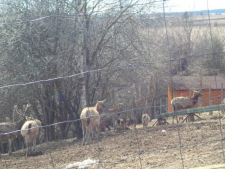 Súkromná farma v Drábsku a Hucul klub v Sihle 2017