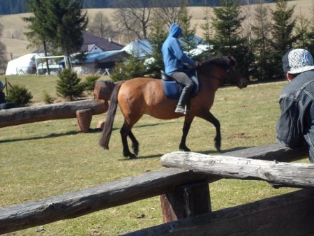 Hucul klub Sihla 2015