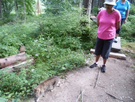 Lesnícky Skanzen Vydrovo Čierny Balog - jún 2015