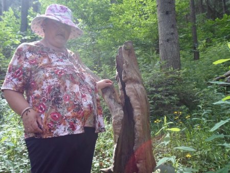 Lesnícky Skanzen Vydrovo Čierny Balog - jún 2015