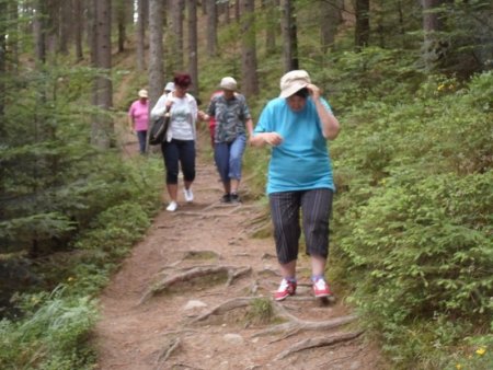 Lesnícky Skanzen Vydrovo Čierny Balog - jún 2015